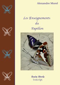 Cover Les Enseignements du Papillon