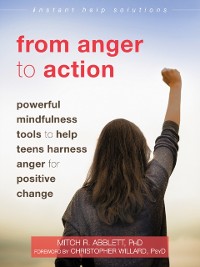 Cover From Anger to Action