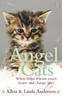 Cover Angel Cats