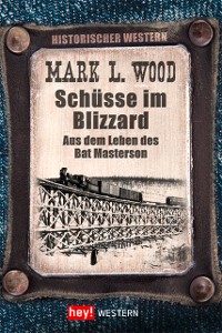 Cover Schüsse im Blizzard