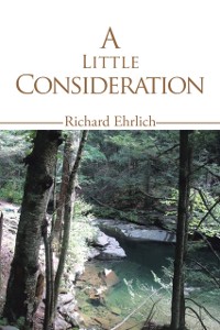 Cover Little Consideration