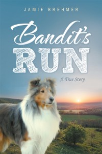 Cover Bandit's Run