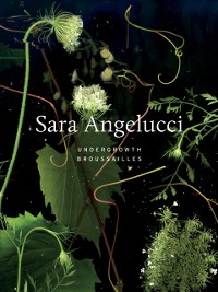 Cover Sara Angelucci: Undergrowth / Brousailles