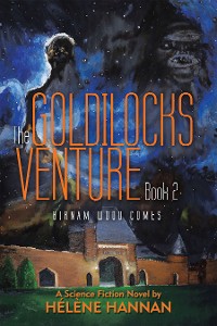 Cover The Goldilocks Venture Book 2