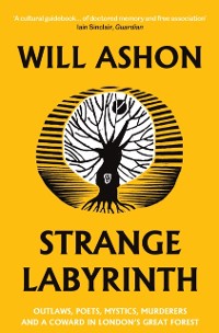 Cover Strange Labyrinth