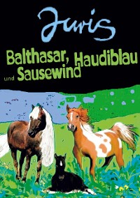 Cover Balthasar, Haudiblau und Sausewind