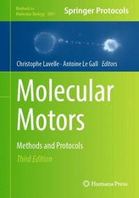 Cover Molecular Motors