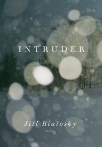 Cover Intruder