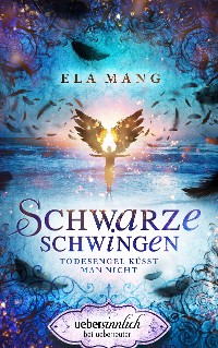 Cover Schwarze Schwingen