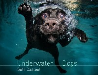 Cover Underwater Dogs