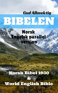 Cover Norsk-Engelsk Bibel №3