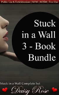Cover Stuck In A Wall 3-Book Bundle