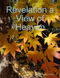 Cover Revelation a View of Heaven