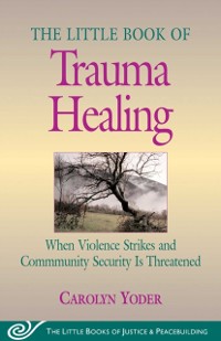 Cover Little Book of Trauma Healing