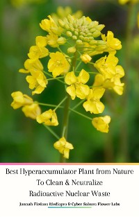 Cover Best Hyperaccumulator Plant from Nature To Clean & Neutralize Radioactive Nuclear Waste