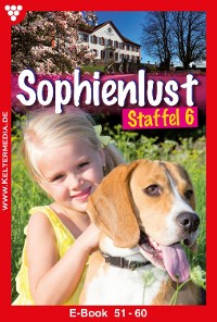 Cover Sophienlust Staffel 6 – Familienroman