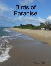 Cover Birds of Paradise