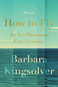 Cover How to Fly (In Ten Thousand Easy Lessons)