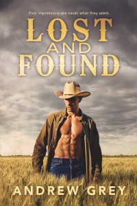 Cover Lost and Found