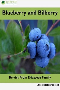 Cover Blueberry and Bilberry