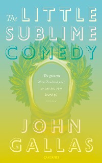 Cover The Little Sublime Comedy