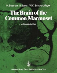 Cover Brain of the Common Marmoset (Callithrix jacchus)