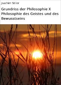 Cover Grundriss der Philosophie X Philosophie des Geistes und des Bewusstseins