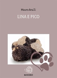 Cover Lina e Pico