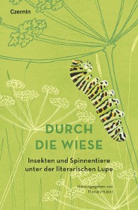 Cover Durch die Wiese