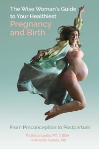 Cover Wise Woman's Guide to Your Healthiest Pregnancy and Birth