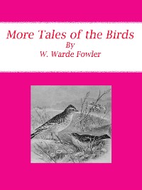 Cover More Tales of the Birds