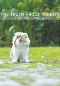 Cover The Truth About Rabbits