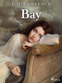Cover Bay