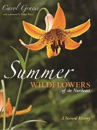 Cover Summer Wildflowers of the Northeast