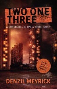 Cover Two One Three: A Short Story