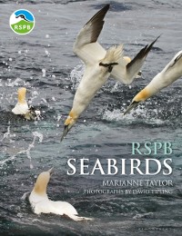 Cover RSPB Seabirds