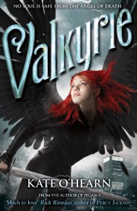 Cover Valkyrie