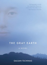 Cover Gray Earth