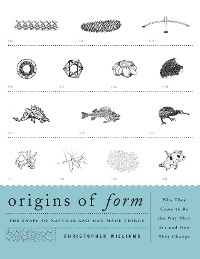Cover Origins of Form