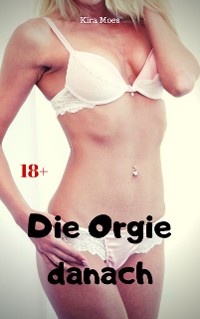 Cover Die Orgie danach