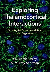 Cover Exploring Thalamocortical Interactions