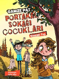 Cover Portakal Sokağı Çocukları - Gizemli Taş