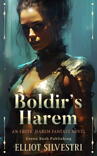 Cover Boldir's Harem