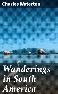 Cover Wanderings in South America