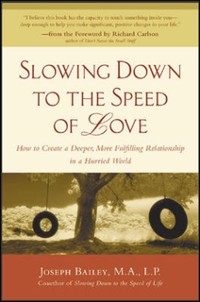 Cover Slowing Down to the Speed of Love