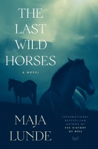 Cover Last Wild Horses