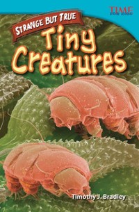 Cover Straight Talk: Tiny Creatures
