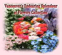 Cover Vancouver's Endearing Splendour of Flowers Collection