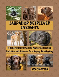 Cover Labrador Retriever Insights