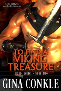 Cover To Find a Viking Treasure